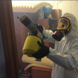 Уничтожение клопов в квартире. Малаховка